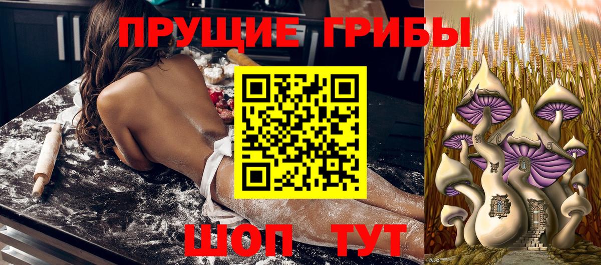 Псилоцибиновые грибы MAGIC MUSHROOMS Озёры