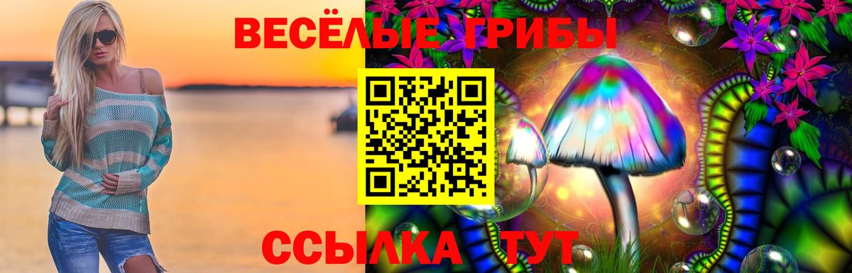 Озёры  Псилоцибиновые грибы Cubensis  Вход с VPN 